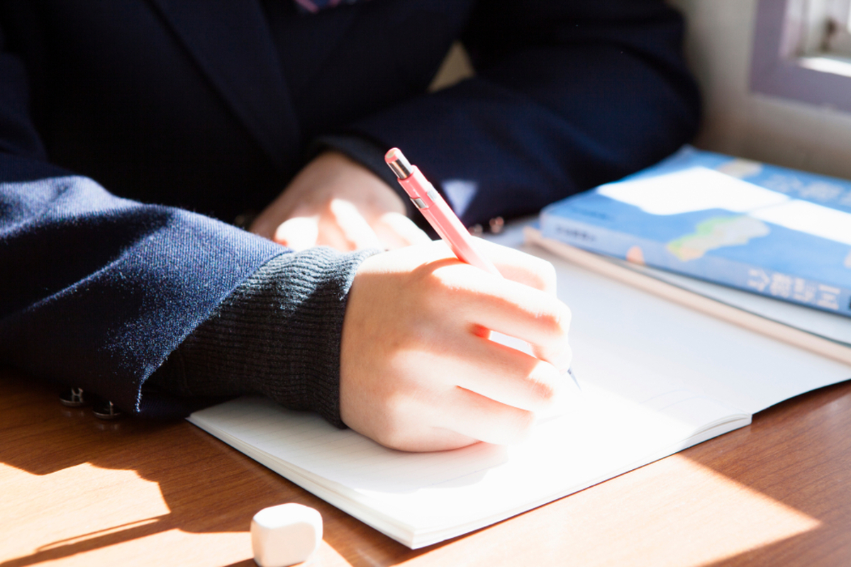 子育て世帯は本当に得なのか FPが2万円給付や「独身税」を解説