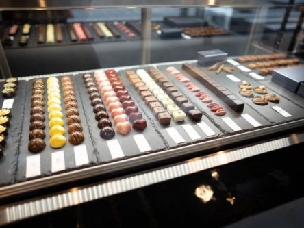 唇の形がそのままチョコに お花のガラステーブルがかわいい広島のチョコレート専門店 ライブドアニュース