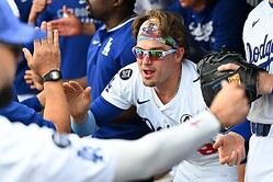 �ɥ��㡼���Υ���ꥱ���إ�ʥ�ǥ��ڼ̿�������������