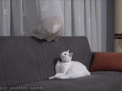 �����ƥ�ǲ�Ŭ�ʥ٥åɤ���������
