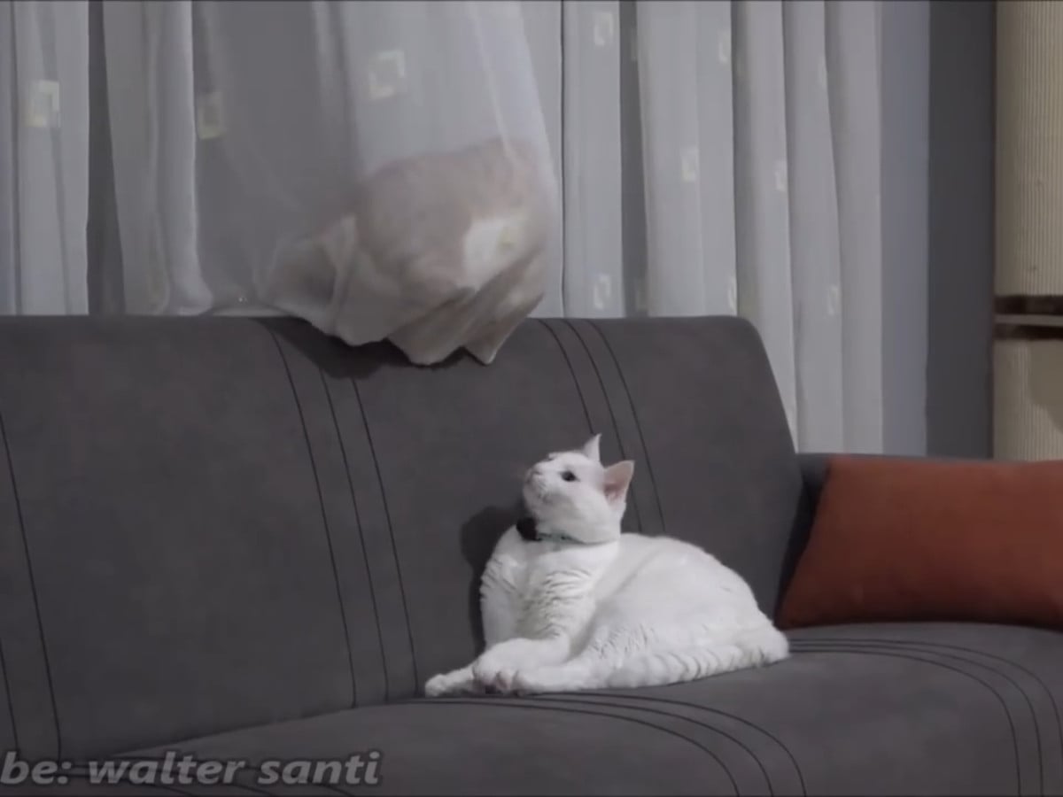 �����ƥ�ǲ�Ŭ�ʥ٥åɤ���������