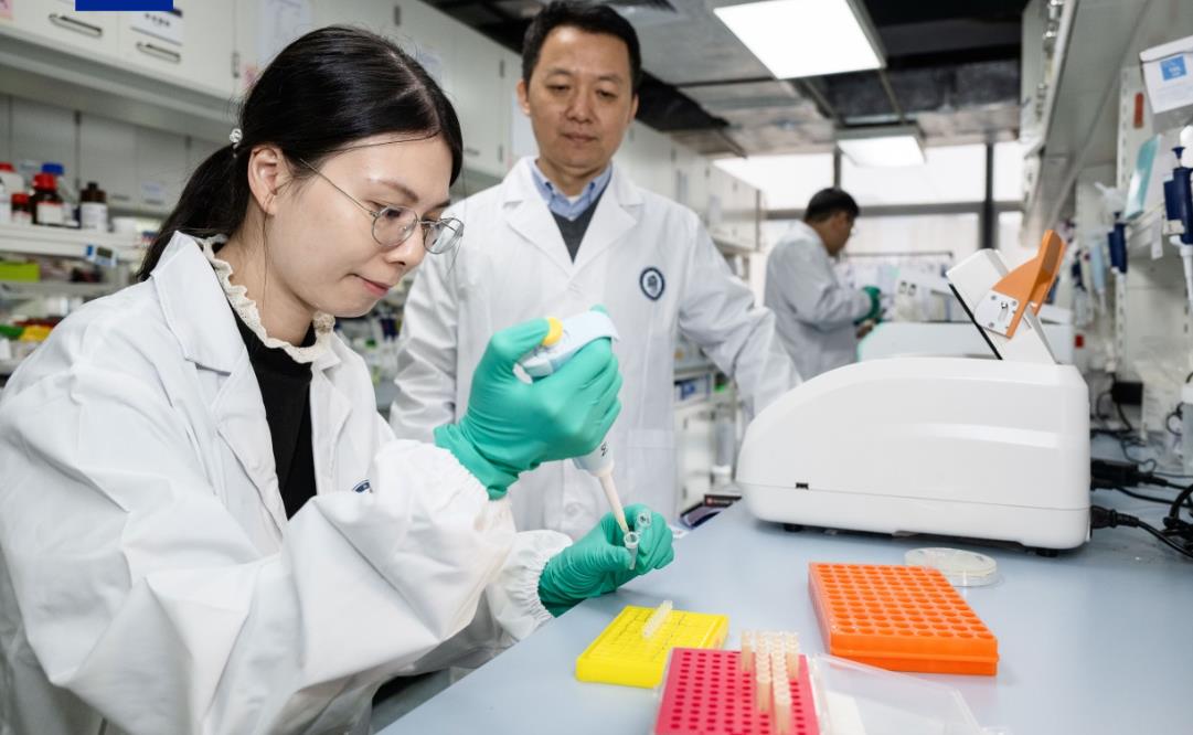 新遺伝子治療法が自閉症・てんかんなどの治療を促進―中国