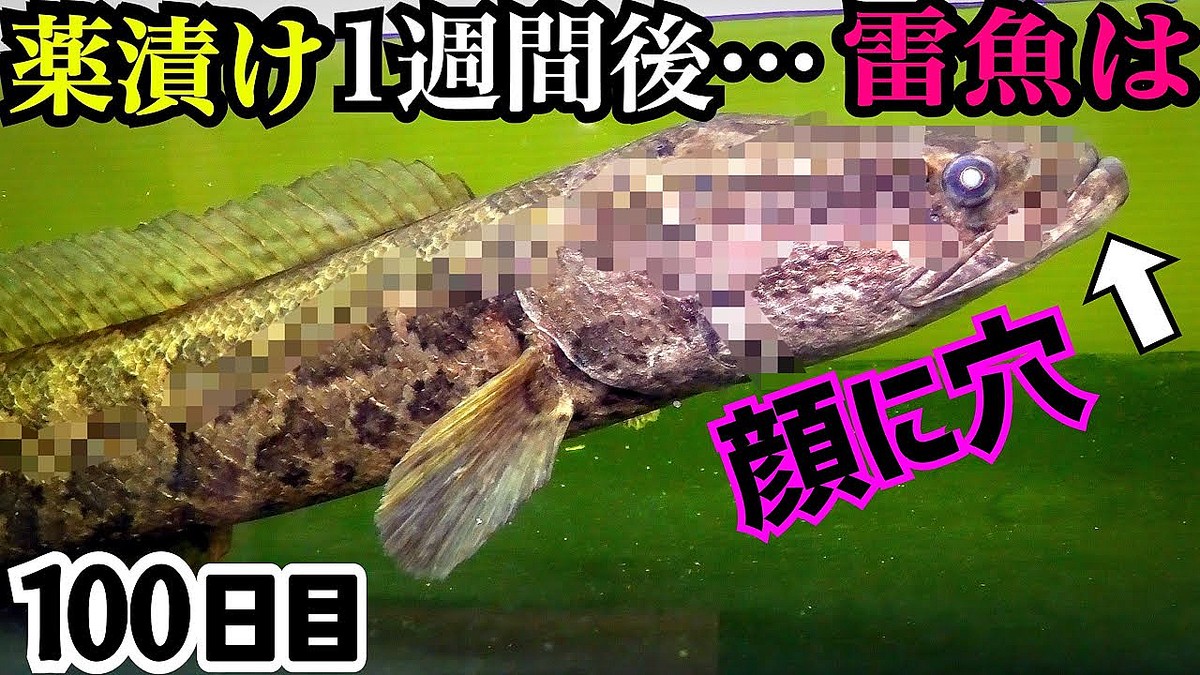 画像が削除されました