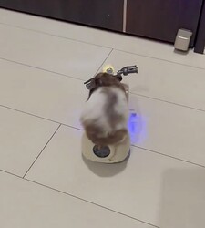 ���ä��Х���������Ф��ġĤ��ɡ��������ˤ��������ϥॹ�����Ρȸ��̻��Ρ�