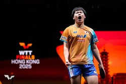 ���統����C��WTT