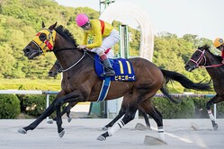 ���쥹�ץ�󥰥��åס��ӥ��˥ܡ����Ȼ�����������󶡡����츩�����ȹ��