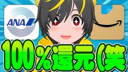 �ڥݥ���®��ۡ����ʤ�Ź�ǻȤä�������ANA Pay����100%�Ը���櫤ȥ���ー������ˡ