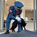 猫と警備員の攻防、まもなく再開？　い...