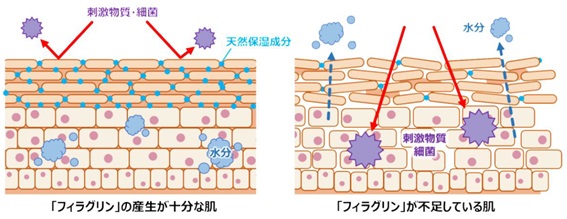 冬こそ気をつけたい赤ちゃんの肌トラブル 繰り返すアレルギー疾患を内側から予防する フィラグリンの産生ケア とは ライブドアニュース