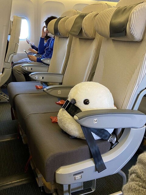 ぬいぐるみを抱いて飛行機に乗り込んだ結果 超絶かわいい旅に Caさんのおちゃめな対応に和みまくり ライブドアニュース