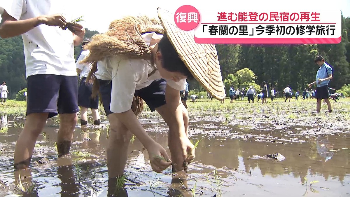 �ƥ�Ӷ���NEWS