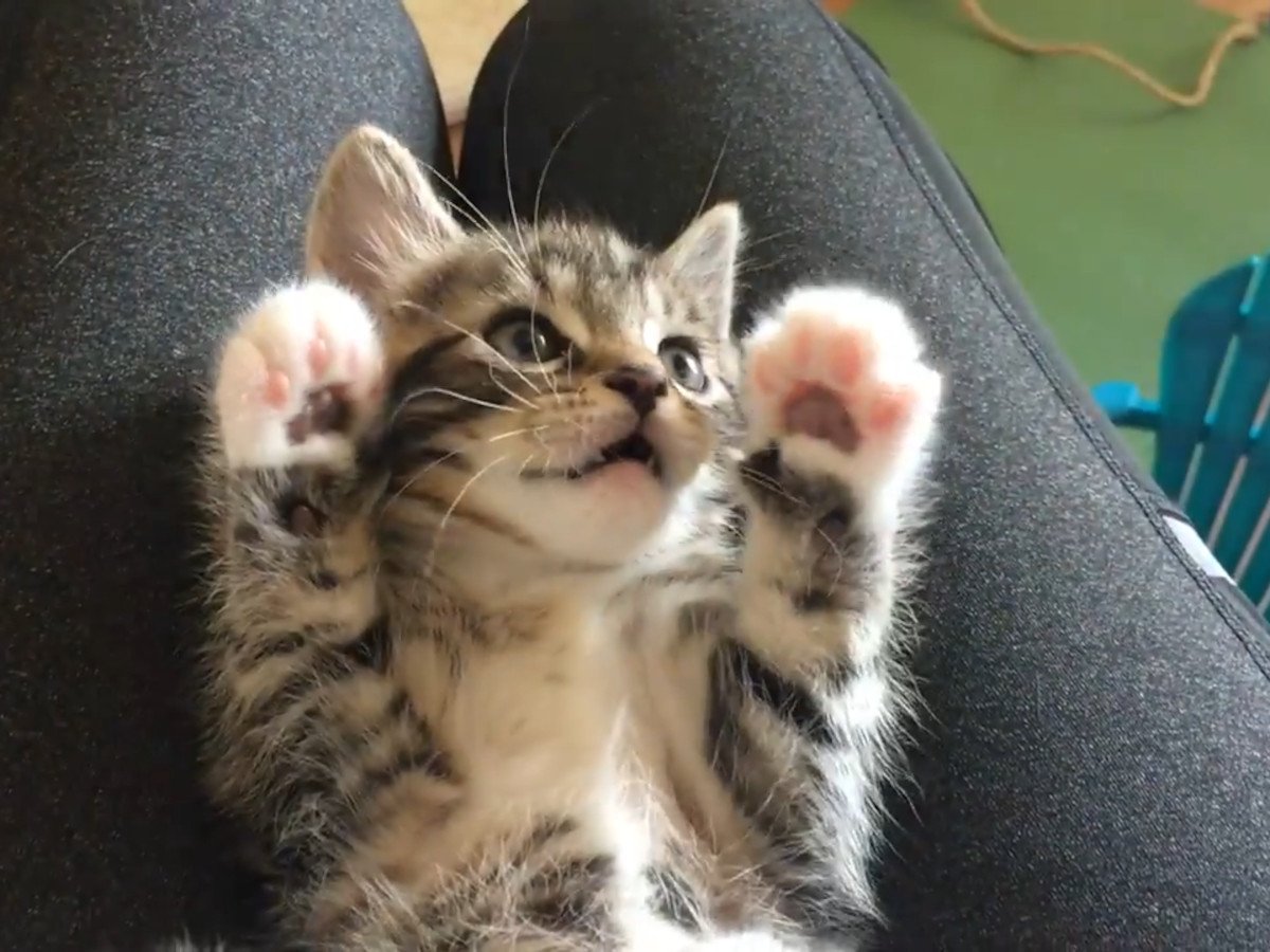 ̵�ٵ��ʻѤ����䤵��롪
