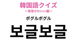 �ڴڹ�쥯�����ۡ�보글보글�ʥݥ���ݥ���ˡפΰ�̣�ϡ������˴ؤ��륪�ΥޥȥڤǤ���