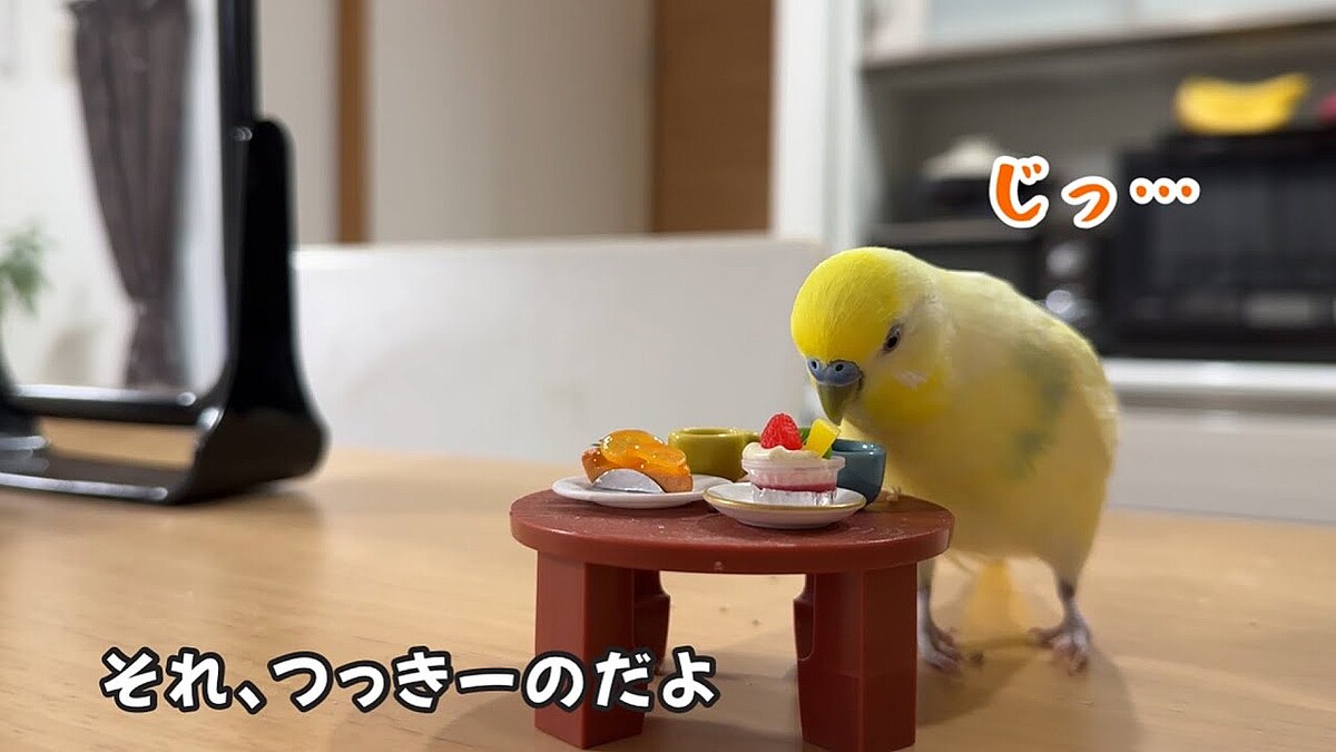 画像が削除されました