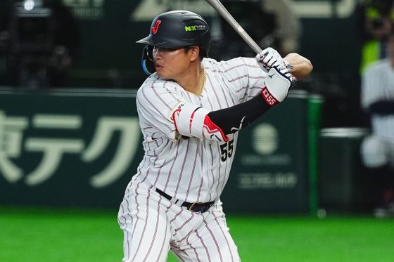 ������ѥ�ǳ�������ۥ磻�ȥ��å�����¼�彡δ�ڼ̿�����������