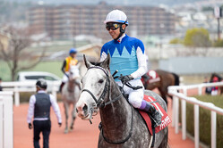 ������ŵ�����ɥޥ���ƥ����˭����