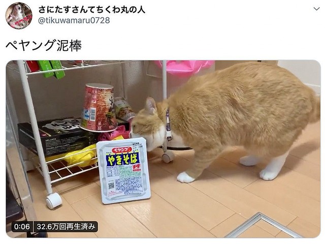 ペヤングを器用に盗む泥棒猫 犯行が大胆すぎて逆に清々しい ライブドアニュース