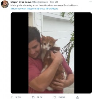 男性の胸にしがみ付く救出された猫(画像は『Megan Cruz Scavo 2022年9月28日付Twitter「My boyfriend saving a cat from flood waters near Bonita Beach.」』のスクリーンショット)