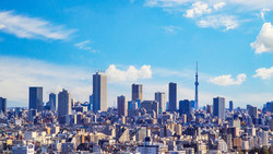 �ڿ�����ˡ�����Ǥ���ư���ӥ��ͥ��۶�ͭ�����������������ξ��ϡ�