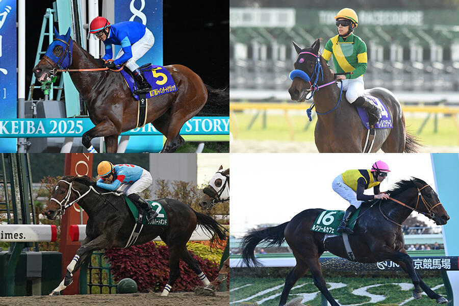 2025年のチャンピオンズCは例年より小粒に 若きダート王候補にも注目集まる