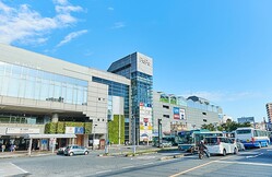 1��13������Ź�ȷ�ޤä���������ۥڥڡ�������ư����ȯɽ��������