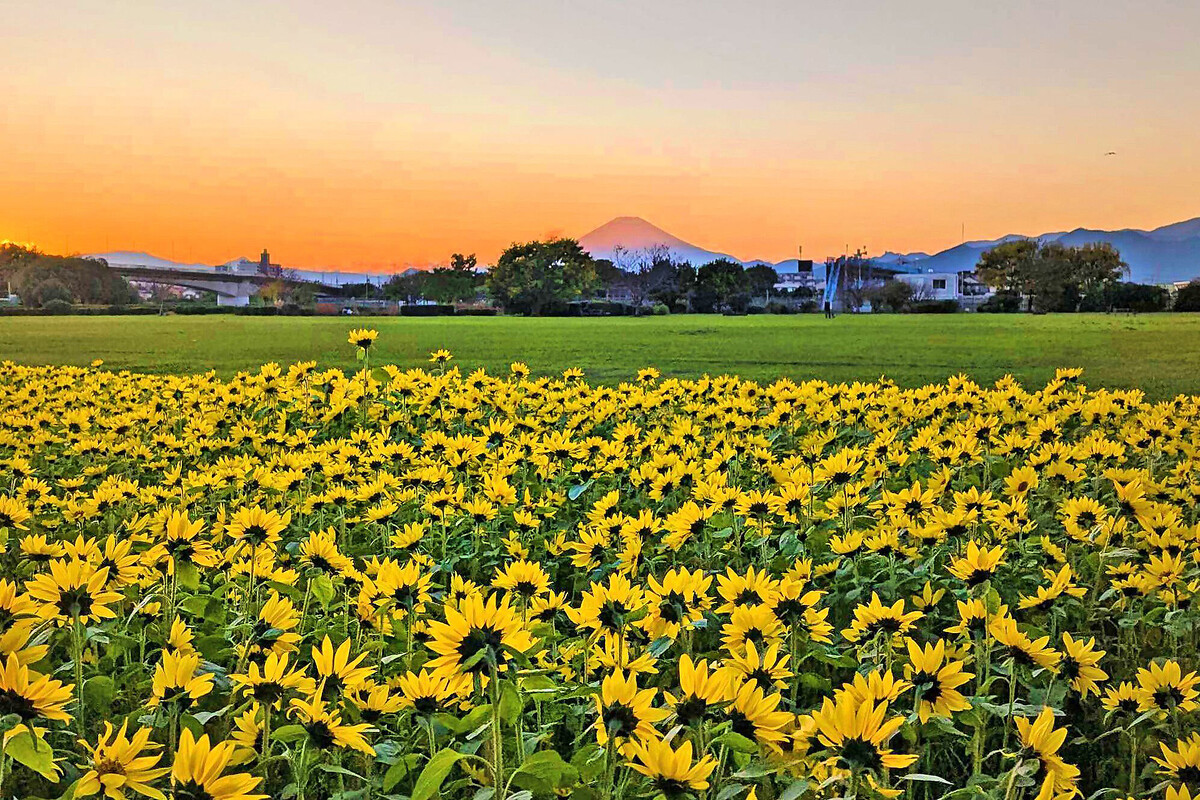 ��ȤΤդ줢������