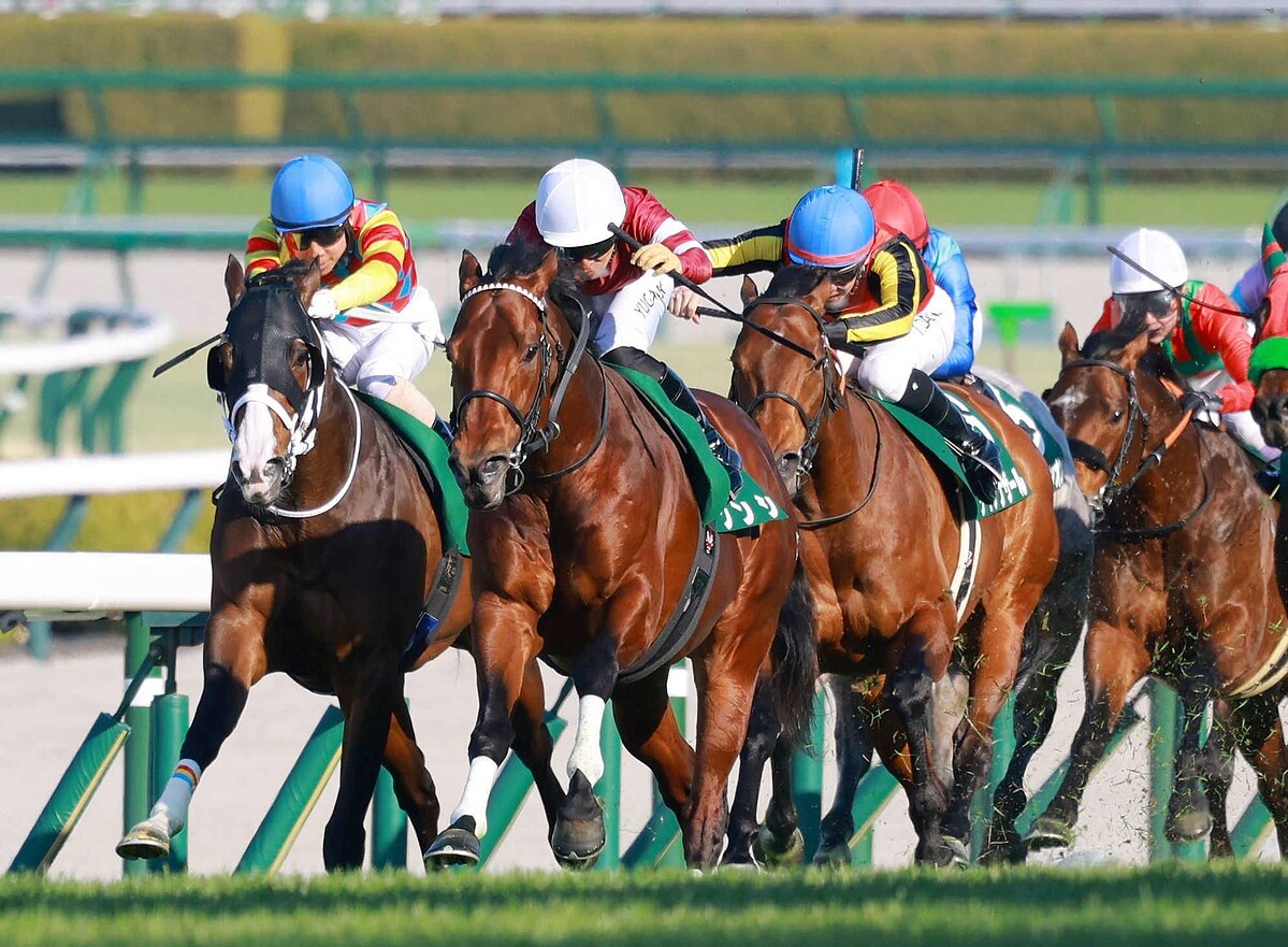 　ブランクをものともせず抜け出すソンシ（左から２頭目）＝撮影・石湯恒介