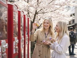 ���ڤ˳ڤ��������ʸ���θ��Ȥ��ƥ���Х���ɤ˿͵������ץ��뼰���ε��ֱﵯ�̡ס����𥨥ꥢ50�ս��Ÿ��