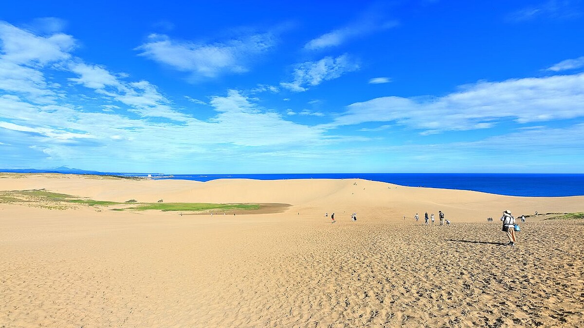 （※写真はイメージです／PIXTA）