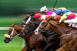 �ڵƲ־ޡ��ɤ��ڤ���ǡ�3����Ѥˡ�A�פι�ɾ����������θ��Ĵ�������̤���ֻ�˽�Ĵ�ǵ��ۤ��ɤ��ܤ������