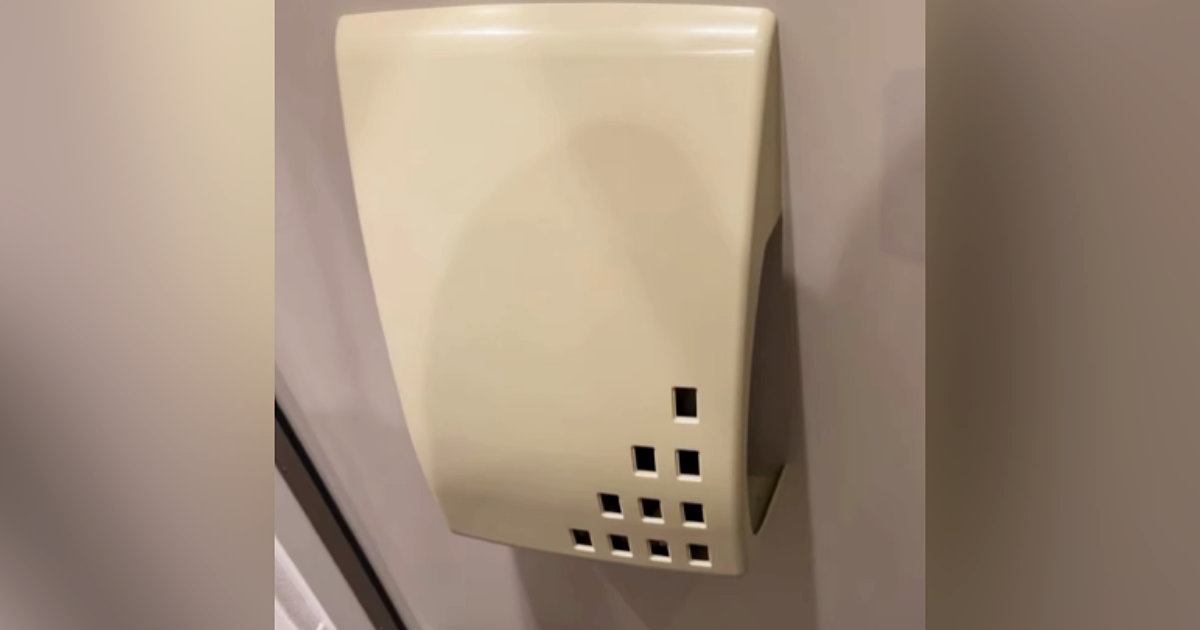 まだ人間が怖い? きょうだい猫