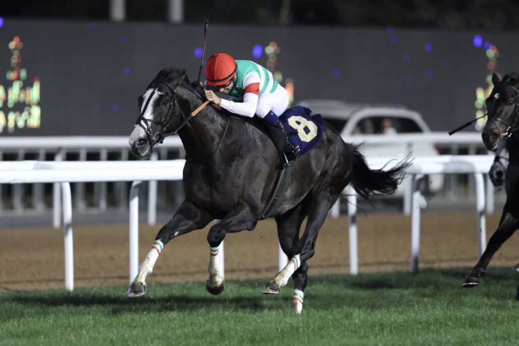 ���֥��ӥ�����ɥ��åס�����ȥ饦����J.��쥤�鵳��