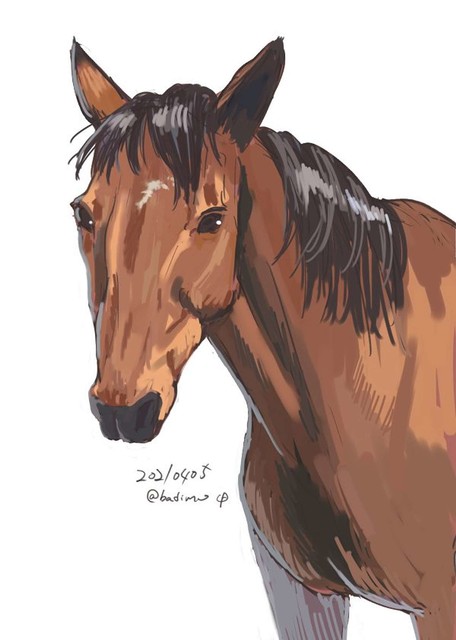 ハルウララ描いて と息子に頼まれた女性 一生懸命描いたが ライブドアニュース ハルウララ描いて と息子に頼まれた女性 一生懸命描いたが ライブドアニュース