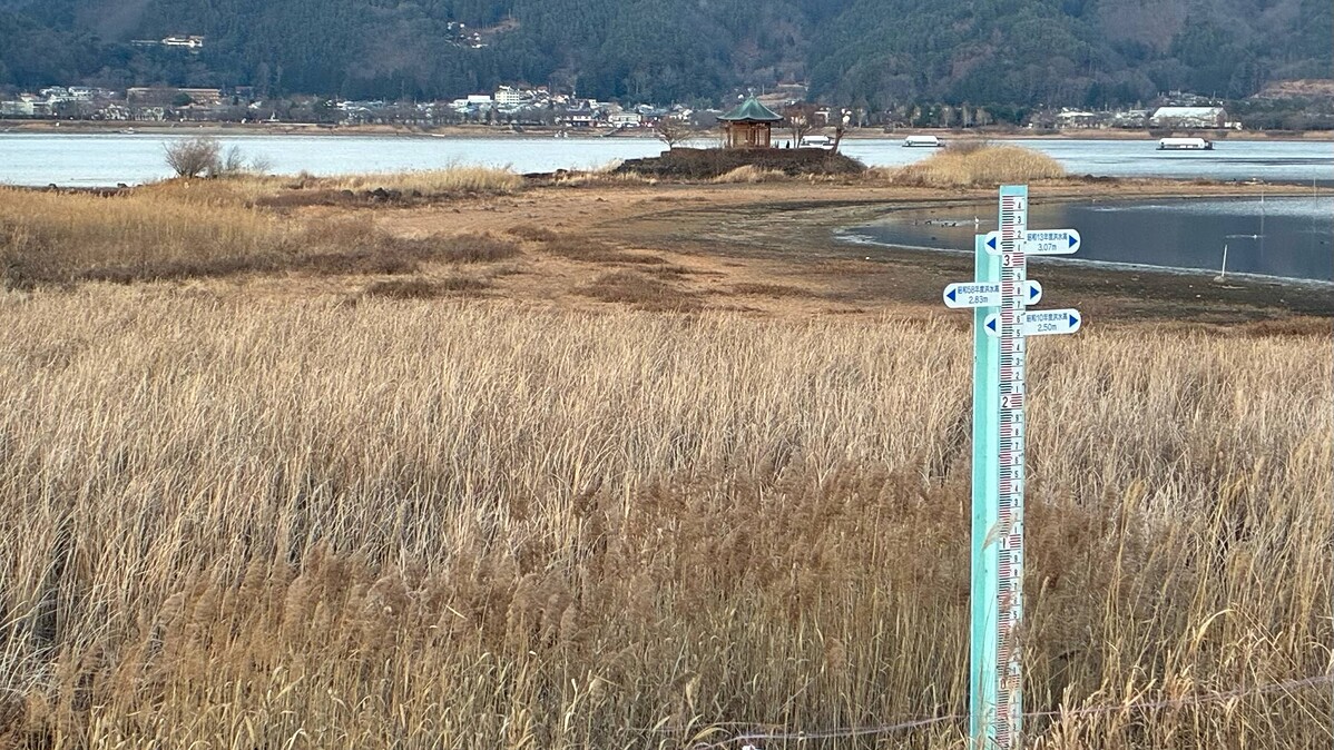 日本有数の観光地・河口湖で大減水、29年ぶりの異常事態にSNSザワつく