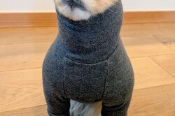 �֥���ĥܥ�á��׸����˥ݥ��˥�����̤��ȡĶä��λѤ�2.7�������ֳ͡��֡ס֥ɥ��ǹ�סڥޥޥ��