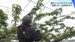 �ƥ�Ӷ���NEWS