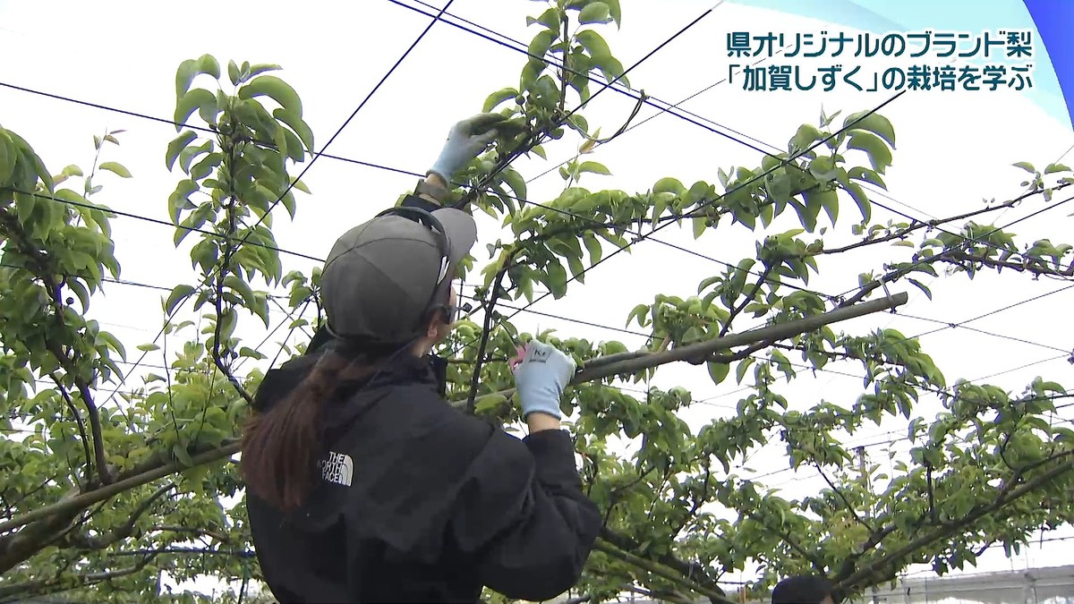 �ƥ�Ӷ���NEWS