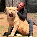 饤˴ź֥֥å㥬ۥ磻ȥġפΥʡʲϡThe Daily Star2022ǯ79աHungry lions left to eat their own tails as cruel zoo owner goes on the runסImage: Newsflashˡ٤Υ꡼󥷥åȡ