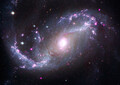 ڢ ϡNGC 1672סκˤϥϥå֥뱧˾ॺåֱ˾ɥX¬δ¬ǡѡCredit: X-ray: NASA/CXC/SAO; Optical: NASA/ESA/STScI; IR: NASA/ESA/CSA/STScI; Image Processing: L. Frattare, J. Major, and K. Arcandˡ