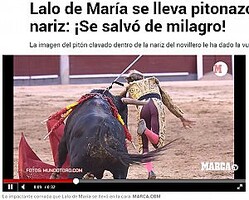 ���γѤ�ɡ�η���ͤ��ɤ��ꡢ���̤��ݤ��Ʈ���Ρ����θ�ϼ���Ω���夬�ꡢ����Ū��ɡ�β�������ǺѤ���Ȥ����ʲ����ϡ�MARCA��2023ǯ5��30���ա�Lalo de María se lleva pitonazo en la nariz: ¡Se salvó de milagro!�ס�MARCA.COM�ˡ٤Υ����꡼�󥷥�åȡ�