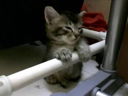 ɬ���̲�����臘��ǭ��