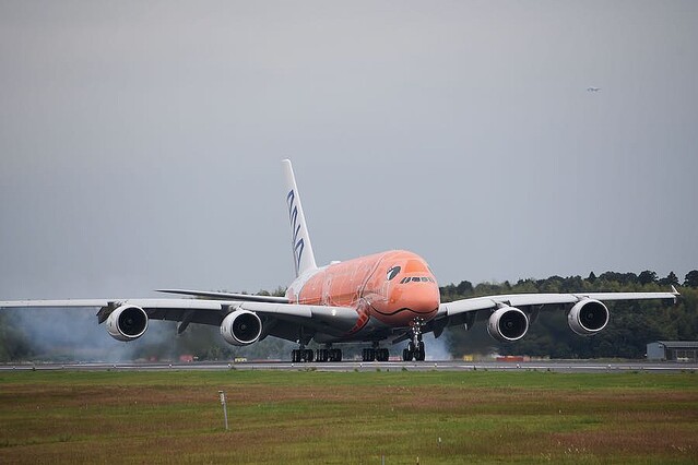 【9/14まで】ANA A380 フライング・ホヌ 3号機 3機揃って笑顔 ANA A380「フライング・ホヌ」 本格稼働の出番待つ