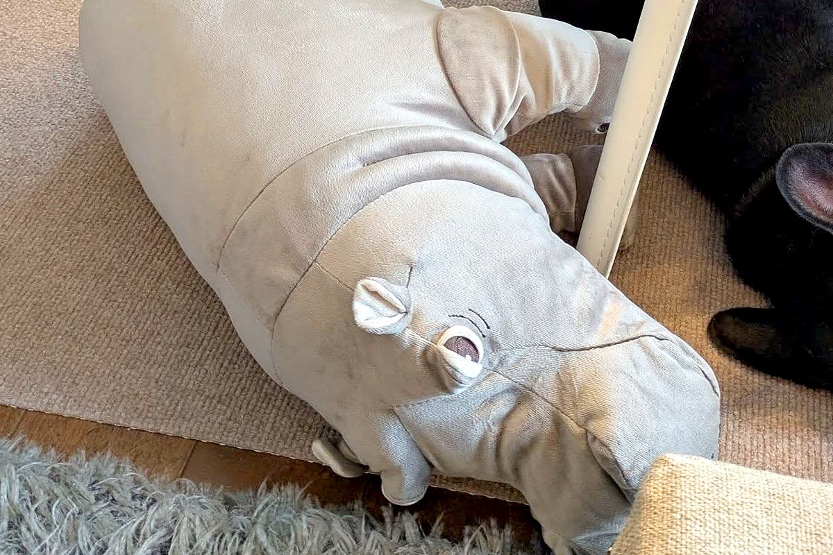 IKEAで一目ぼれしたカバのぬいぐるみ まさかの理由に驚きの声