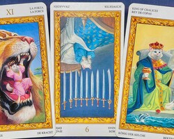  �ڻ��Ӻ¡۽��֥����å��ꤤ���轵��2025ǯ11��24����11��30���դ����籿�������� 