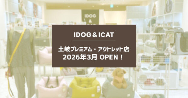  IDOG&ICAT���ڴ��ץ�ߥ��ࡦ�����ȥ�åȤ�2026ǯ3����ܺ���꿷����ー�ץ󤬷��� 