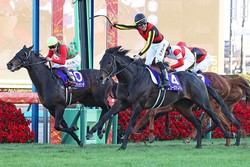 �ߥ�ー������ޥ���/2025ͭ�ϵ�ǰ��C��Toshihiko Yanagi