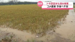 テレビ金沢NEWS