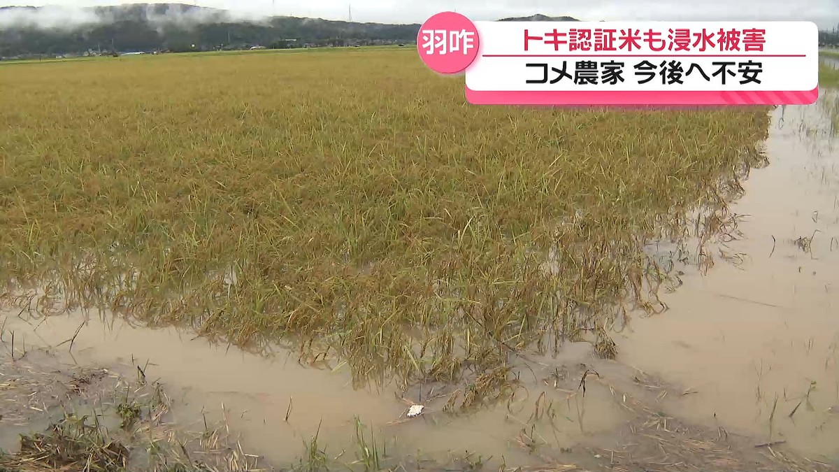 テレビ金沢NEWS