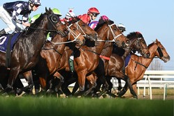 �ڥ��󥶥�ǰ����Ƭ���ǡۡ�7.0.1.3�פ˳����ϥ���ȥ�ॹ�������10�͵��ɤ����ꡡ�͵���Ѥϡ�0.0.0.8�פǲ�����