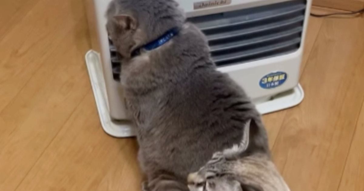 ���ȡ��֤�����ǭ���� ��������